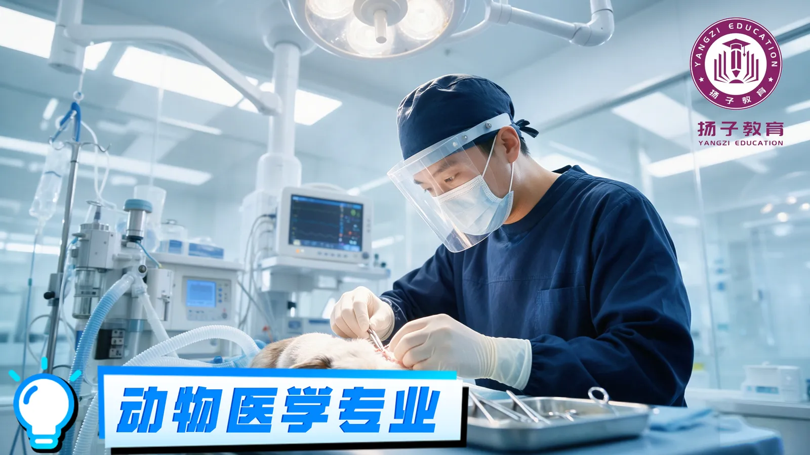 动物医学——宠物医生